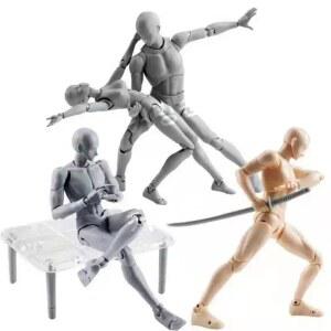 바디군 바디짱 인체모형피규어 무기 17cm 인간 13종 2 SH 남자