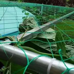 오아픽 11번가 고추망 오이망 오이그물망 그물 5x10cm 새망 호박망