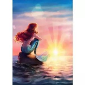 [오늘도 우리집] 보석십자수 생각하는 인어공주 6070