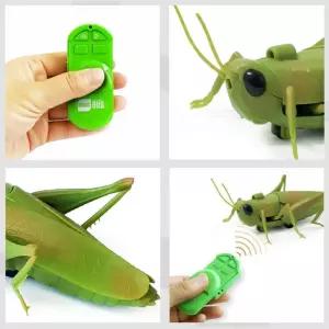 3세 무선조종 작동완구 메뚜기 유아교구 어린이장난감