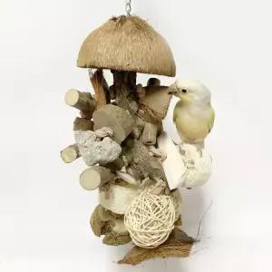 은신처 앵무새 투구 코코넛 집 장난감