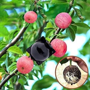 10PCS 루팅 볼 박스 접목 도구 재사용 가능 고압 트리 루터 에어 레이어링 전파 모종 냄비