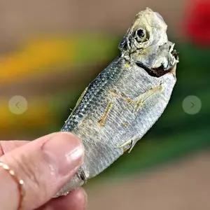 [셀러허브]VB 국산 밴댕이 디포리 띠포리 (S18264127)