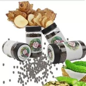 [셀러허브]VDG 생협 여주 돼지감자환 200g*2 (S45328133)