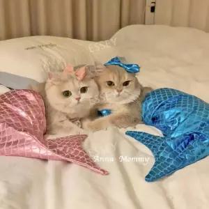 고양이 할로윈 꼬리 인어옷 인어공주옷 코스프레 의상 강아지