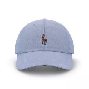 폴로 랄프로렌 옥스포드 볼 캡블루 MAPOHGS0J422235400