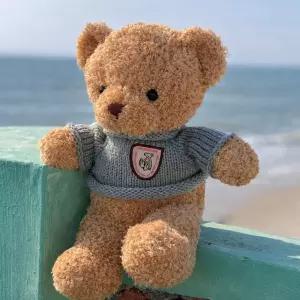 부드러운 곰돌이 인형 귀여운 곰인형 장난감 어린이 생일 선물