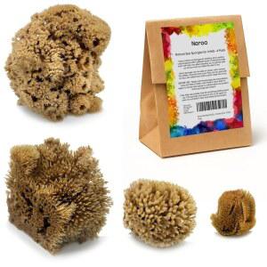 나로아 아티스트 4팩 페인팅용 천연 바다 스펀지 | 독특한 도구 세트 표백되지 않음 아티스트와 어린이에게 적합 아크릴, 수채화, 마블링, 텍스처링, 도자기, 도자기