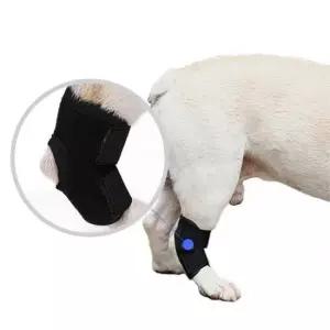 TBZ 잔솔 강아지 슬개골 보호대 관절 탈구 쓸개골 보조기 강아지깁스보호대