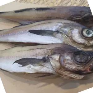 코다리 1미 코다리손질 술안주코다리 코다리찜