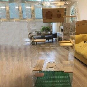 슈가글라이더 사육장 피그미다람쥐 놀이터