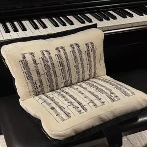 악보쿠션 악보 모양 쿠션 인테리어 소품 피아노 학원 카페 장식품
