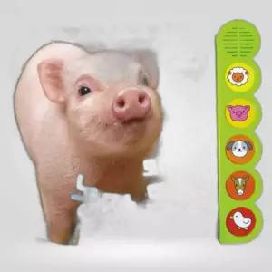 모여라 농장동물 소리나는촉감사진책 사운드북 학습 동화책 학습책 사운드북