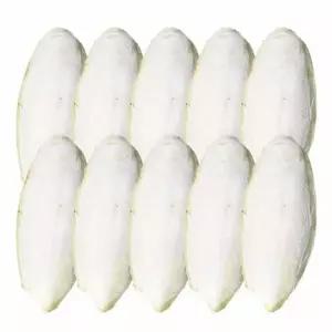 갑오징어뼈 천연 칼슘 보충 앵무새 간식 부리 강화 영양제 오징어뼈 10개