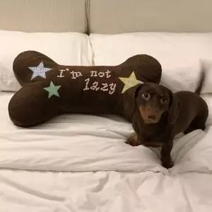 귀여운 뼈다귀 디자인 쇼파 등받이 베개 쿠션 애착인형 레 인형 침대 자수