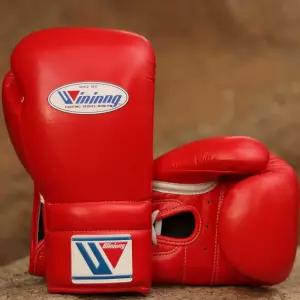 위닝 복싱 권투 장갑 격투기 글러브