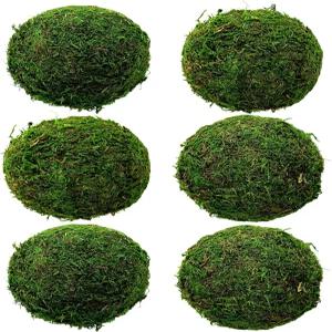 옴티나 내추럴 그린 이끼 장식용 볼 3.5인치 6종 세트 수제 행잉 꽃병 필러 크리스마스 트리 가든 웨딩 홈