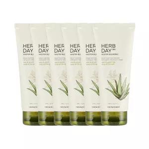 3+3 더페이스샵 허브데이 페이셜 클렌징 폼 알로에 170ml