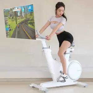 멜킨 스마트 실내자전거 젠틀 마그네틱 스핀바이크 게임 즈위프트 사이클 헬스바이크 10kg