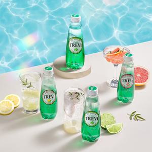 롯데칠성 트레비 플레인 레몬 라임 자몽 300ml PET 20개