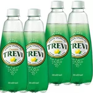 탄산수 탄산 롯데 자몽 트레비 x 40PET 20펫x2BOX 레몬 300ml