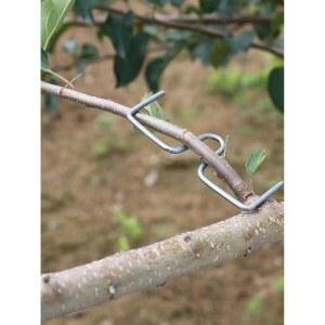 나무 고추대 수형 고정 묶는 정원 묘목 가지 12형 클립 인테리어 M타입10CM 가든