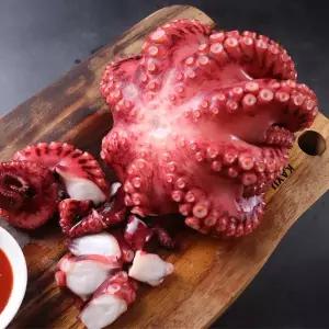 필리핀 손질 자숙 문어 데친문어 제수용 900g급