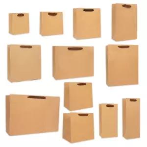 브라운 에코 종이 쇼핑백 B1호 B2호 20개입 종이백 봉투 손잡이 가방