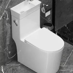 양변기 일체형 세면대 변기 물 절수 화장실 절약 식 공간