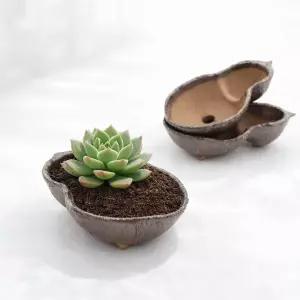 조롱박 다육이 야생화 식물 플랜테리어 고급 토기 분갈이분 인테리어 화분
