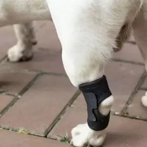 강아지 무릎 보호대 네오프렌 스트랩 반려견 강아지 다리 보호대 관절 슬개골 피부