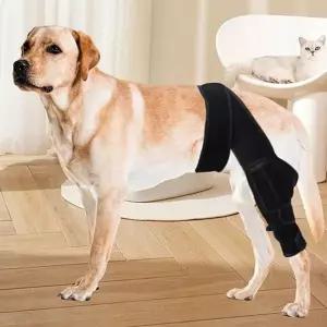 강아지 다리 보호대 슬개골 보조기 반려견 강아지 무릎 보호대 관절 상처