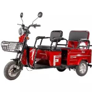삼륜 스쿠터 전동 오토바이 전기 바이크 세발 출퇴근 노인 삼발이 배달