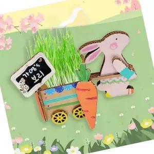 우든페이퍼 우든페이퍼 토끼 수레 보리 새싹 키우기 1인용