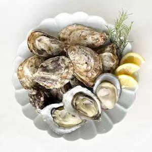 [남해촌놈들] 산지직송 프리미엄 생굴 석화 개체굴 5kg