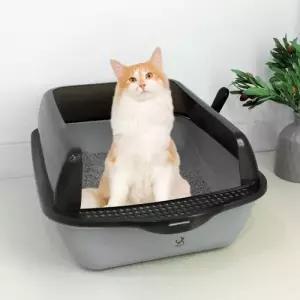 딩동펫 고양이 화장실 반투명 샌딩 베이직 + 모래삽 세트