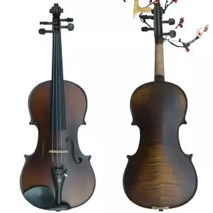 바이올린 초보자 연주 풀패키지 레슨 교육용 초보