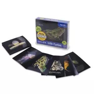 동식물 성장 변화 카트 초등 과학 교재 동물카드 자기주도