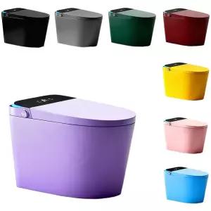 중앙 선택 도파민 컬러 변기 가정용 자동 비수압 제한 순간 전기