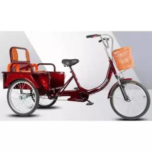 자전거 인력거 시골 중년 등받이 성인 세발 자전거 자전거대여