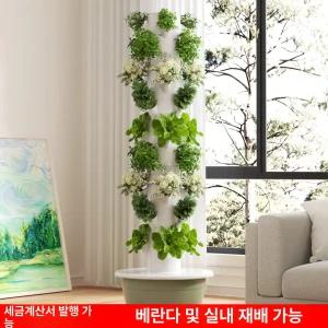 benesell 가정용스마트팜 상추키우기 식물 식물재배기