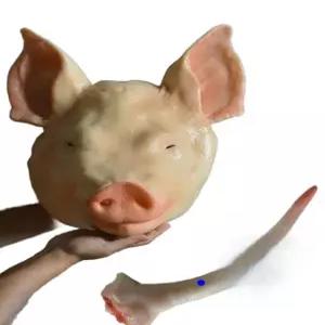 가짜 돼지 머리 개업식 모형 모조 자동차 돼지머리 개업 전시용 신차 소품 고사