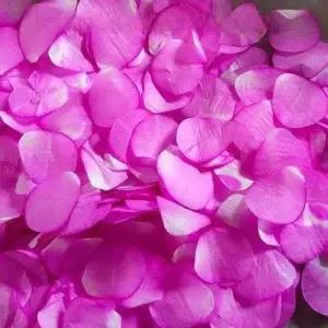 꽃가루 축포 에어샷 스팽글 기계 색종이 날리기 생일 축하 대포 분사기 이벤트 축제 웨딩