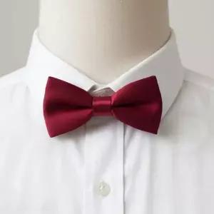 BS 나비넥타이 소형 버건디
