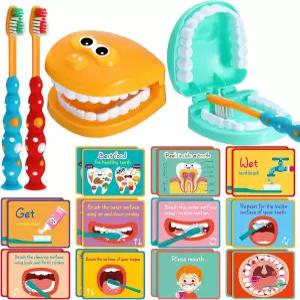 스카이티 2세트 치과용 놀이 세트 칫솔 교육 카드가 포함된 치아 모델 표준 크기 가짜 보조기 시범