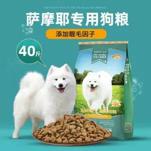 소형견 야광 신발 부드러운 테디 고양이 발광 밑창 강아지 보온 방수 운동