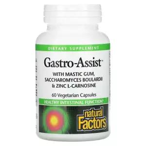 내추럴팩터스 Gastro-Assist 매스틱 검 보울라디 징크 아연 L카르노신 60정