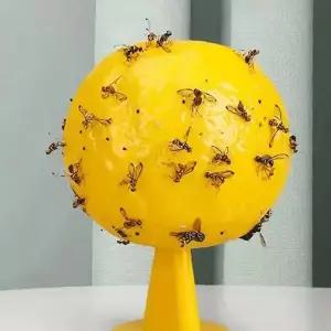 해충 포획기 끈끈이 구형 날파리 퇴치 주방 실내 위생 벌레잡이