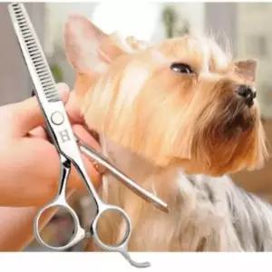 [반려] 강아지 미용 틴닝 숱가위 6인치 1P 애견 셀프 컷팅