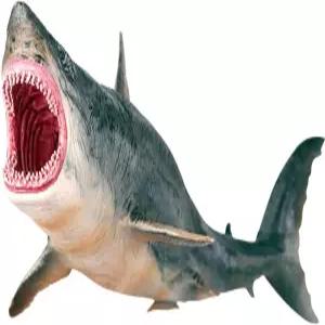 EOIVSH 대형 상어 장난감 메가로돈 플라스틱 모듬 해양 동물 피규어 현실적인 바다 생물 컬렉션 선물 목욕
